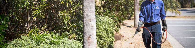 Moth Control Moth Control